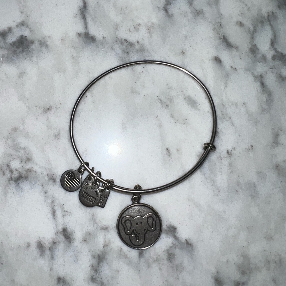 Alex and Ani bracelet